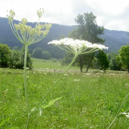 Holiday home Serenella Fontaine Et Coquelicots Le Noyer (Savoie)